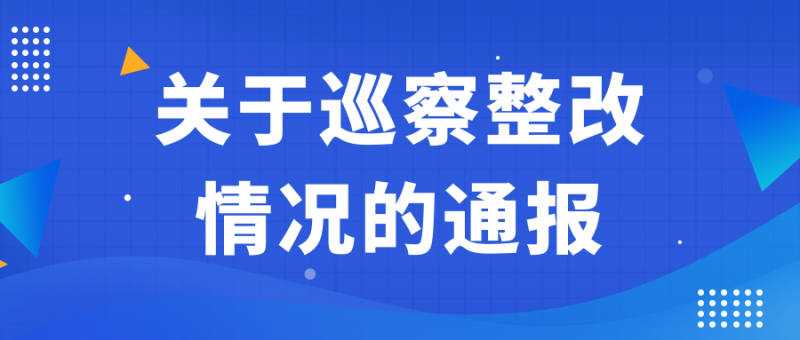 中共江苏黄海金融控股集团有限公司委员会关于巡察整改情况的通报