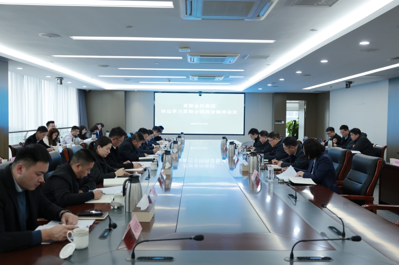 集团传达学习全国两会精神