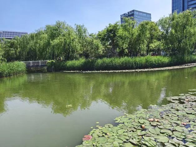 微信图片_20260528150113_118_6.jpg