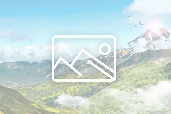 集团所投项目勤浩医药达成全球重要合作